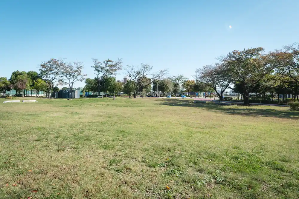 kosugehigashi-square-1 小菅東スポーツ公園の芝生広場