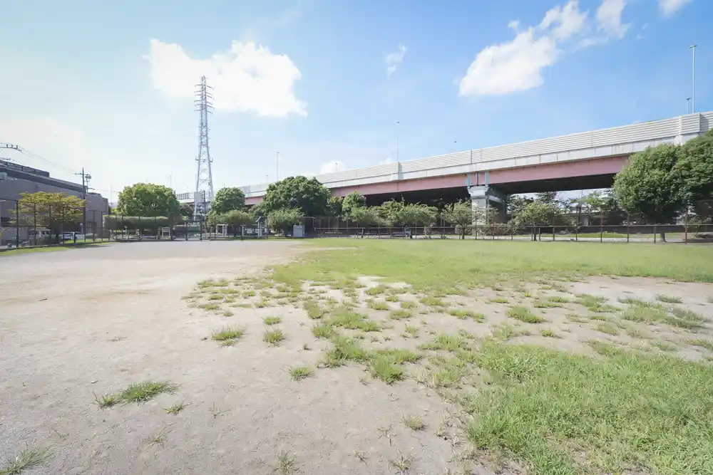 江北公園の自由運動広場