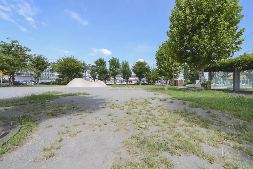 南椿公園の広場