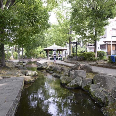 公園風景（見沼代親水公園）