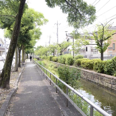 公園風景（見沼代親水公園）