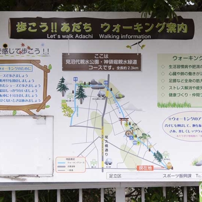 ウォーキング案内（見沼代親水公園）