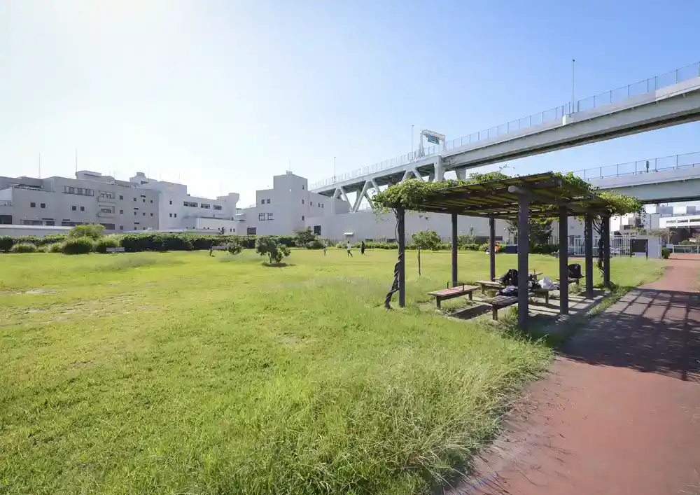 宮城ファミリー公園にある芝生広場