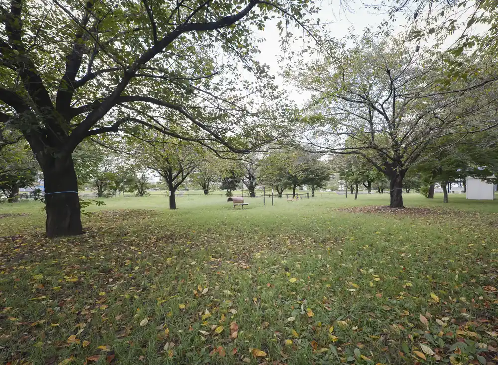 miyagiyuyu-camp-2 宮城ゆうゆう公園の少年キャンプ場