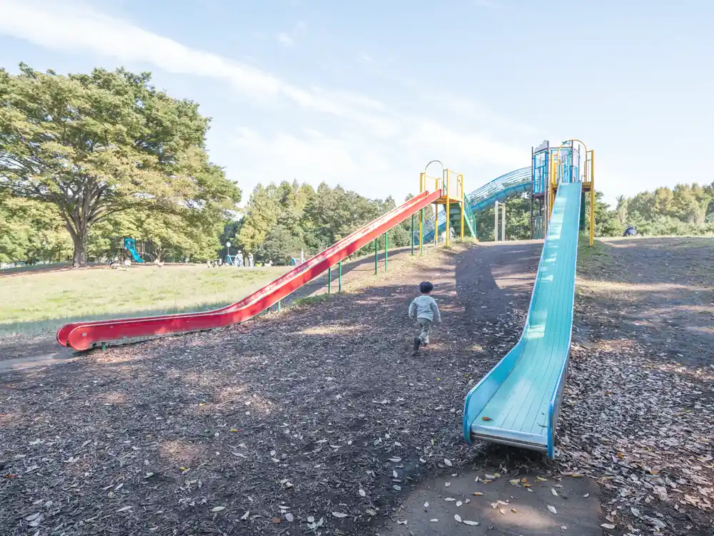 水元公園の冒険広場】大きな滑り台やターザンロープなどの遊具あり｜ピクニックにおすすめの遊び場