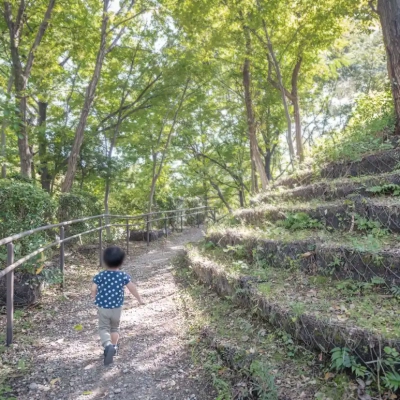 水元公園の雑木の丘
