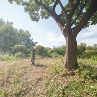 水元公園の雑木の丘の頂上