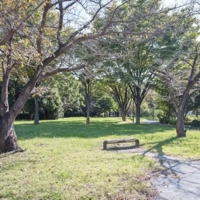 水元公園の雑木の丘エリアの風景