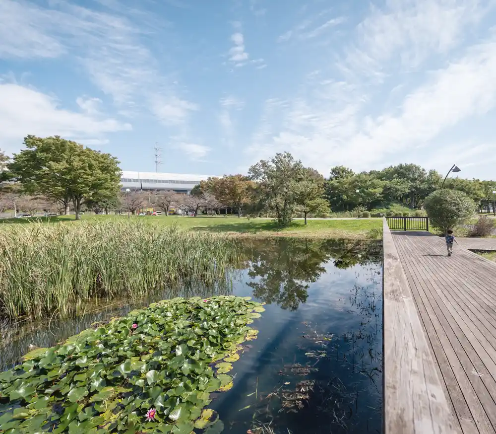 水元公園の雑木の丘エリアの風景