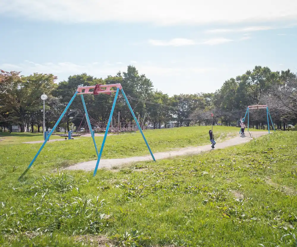 水元公園の雑木の丘エリアにあるターザンロープ
