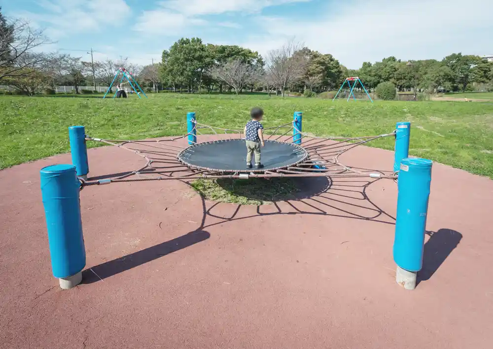 水元公園の雑木の丘エリアにあるトランポリン
