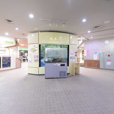 motofuchie-biological-garden-2 生物園(元渕江公園)