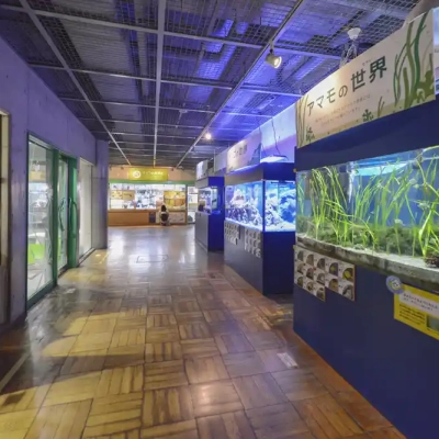 motofuchie-biological-garden-52 元渕江公園の生物園にある観察展示室