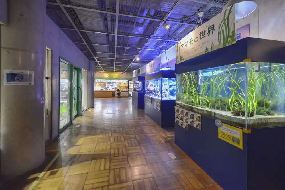 motofuchie-biological-garden-52 元渕江公園の生物園にある観察展示室