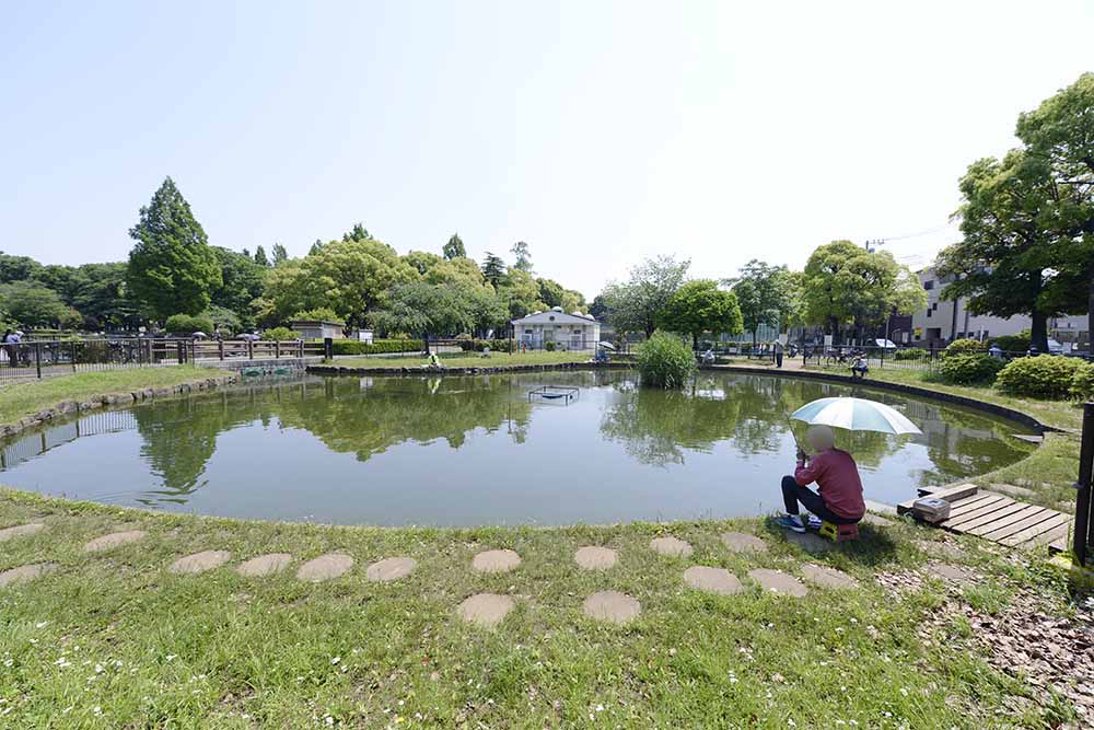 motofuchie-fishing-3 釣り池(元渕江公園)