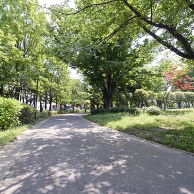 motofuchie-forest-1 憩いの広場周辺(元渕江公園)