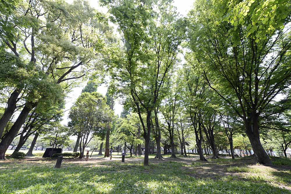 motofuchie-forest-2 憩いの広場(元渕江公園)