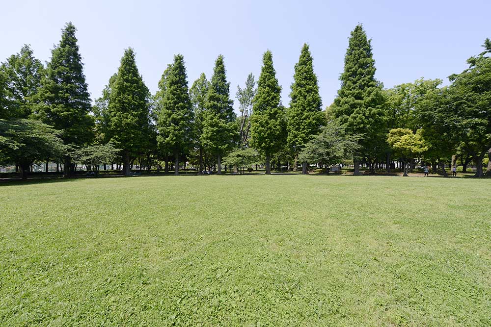 motofuchie-grassland-2 草地広場(元渕江公園)