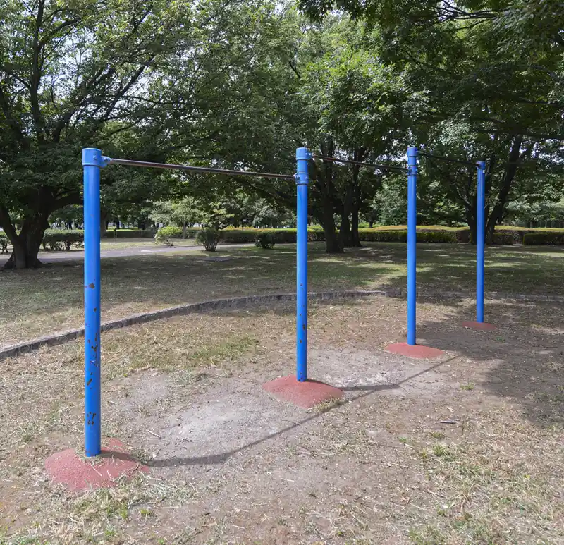 中川公園A地区の高鉄棒