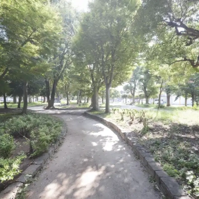葛飾区中道公園の風景