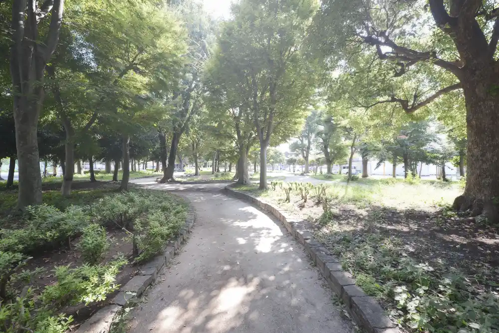 nakamichi-landscape-3 葛飾区中道公園の風景