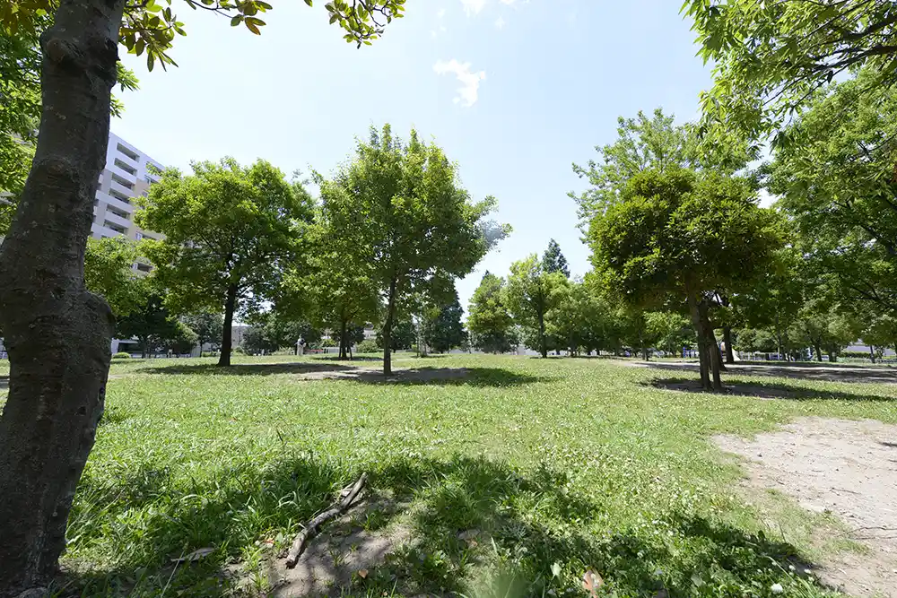 芝生広場（西新井さかえ公園）