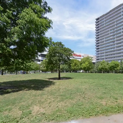 芝生広場（西新井さかえ公園）