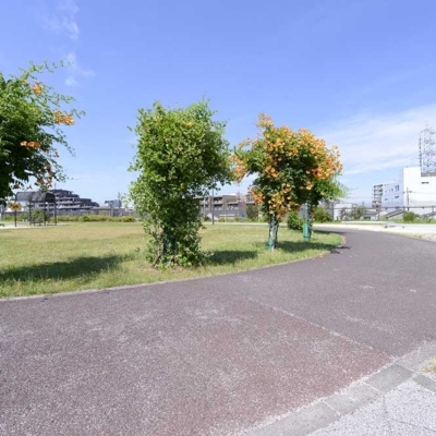 ウォーキングコース（中央本町三丁目のびのび広場）