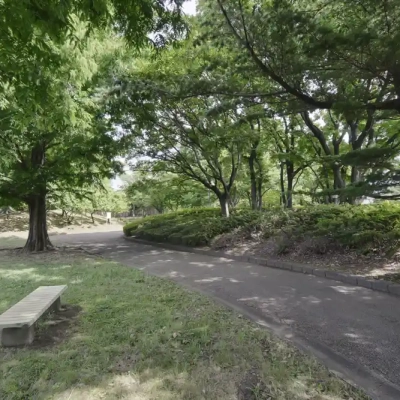 緑の多い公園（大谷田公園）