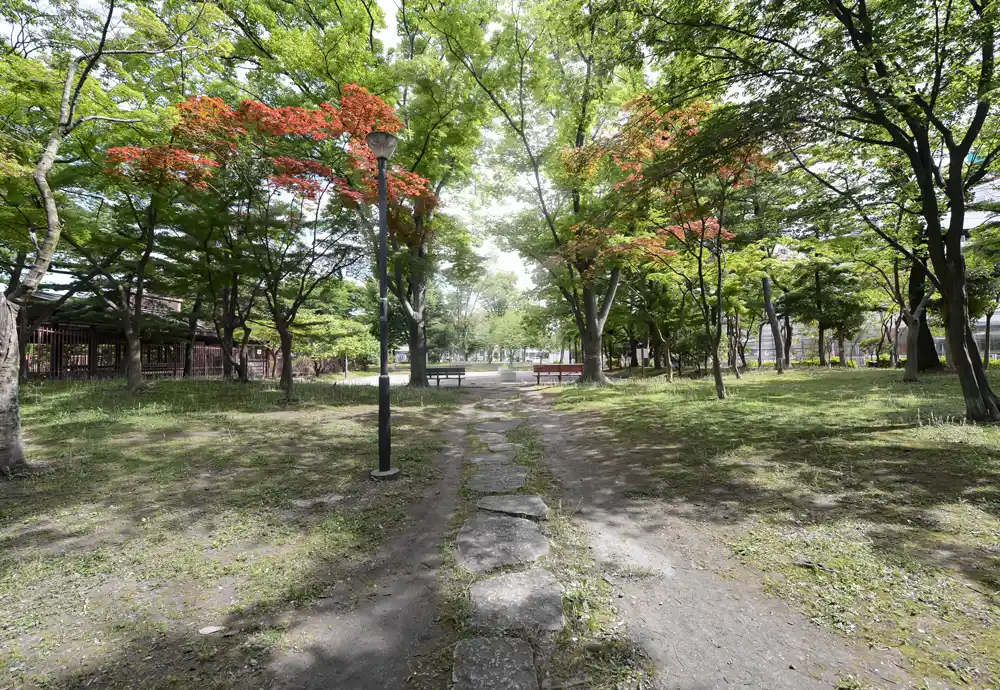 ooyata-landscape-3 公園風景(大谷田公園)
