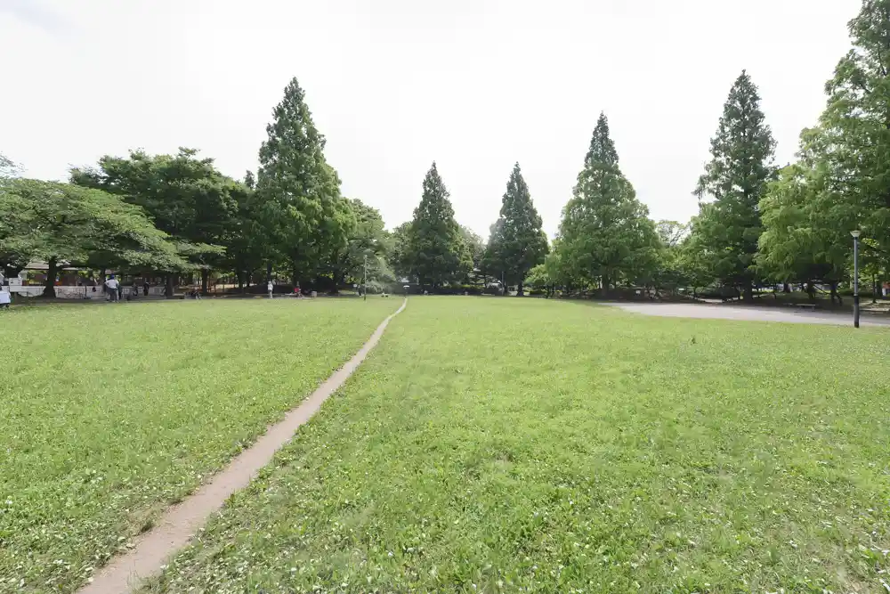 芝生広場（大谷田公園）