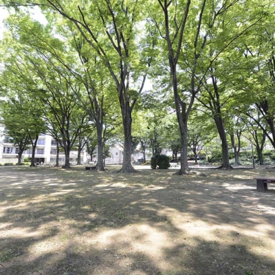 公園風景（尾竹橋公園）