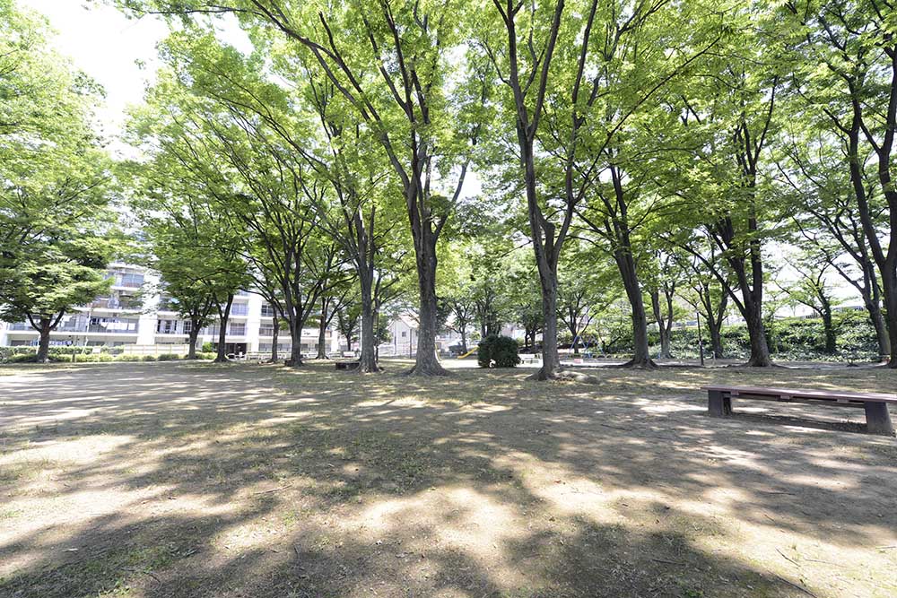 公園風景（尾竹橋公園）