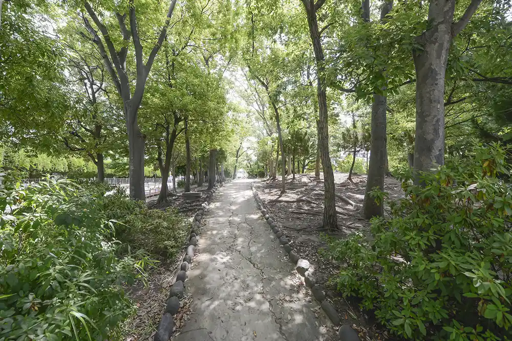 sano-landscape-3 公園内の緑地|足立区にある佐野公園