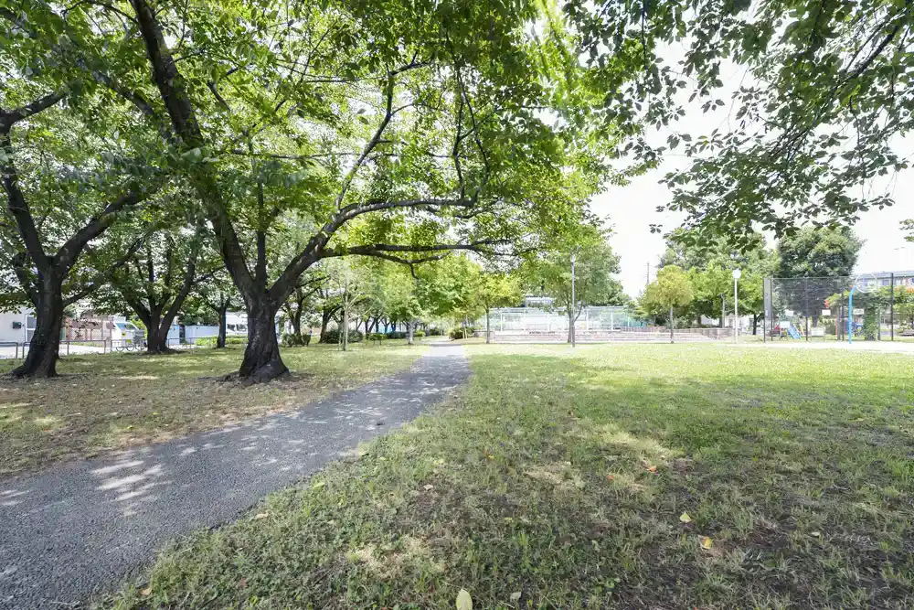 皿沼公園の多目的広場