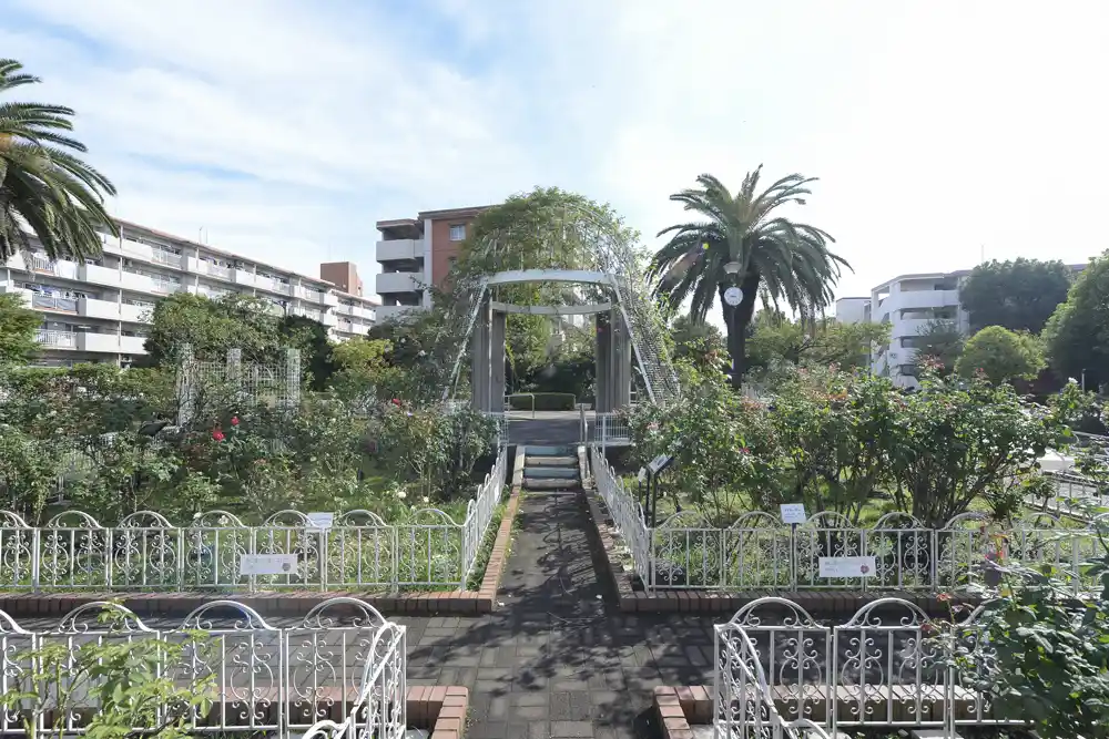 公園風景（青和ばら公園）