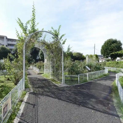 seiwabara-landscape-3 公園風景(青和ばら公園)