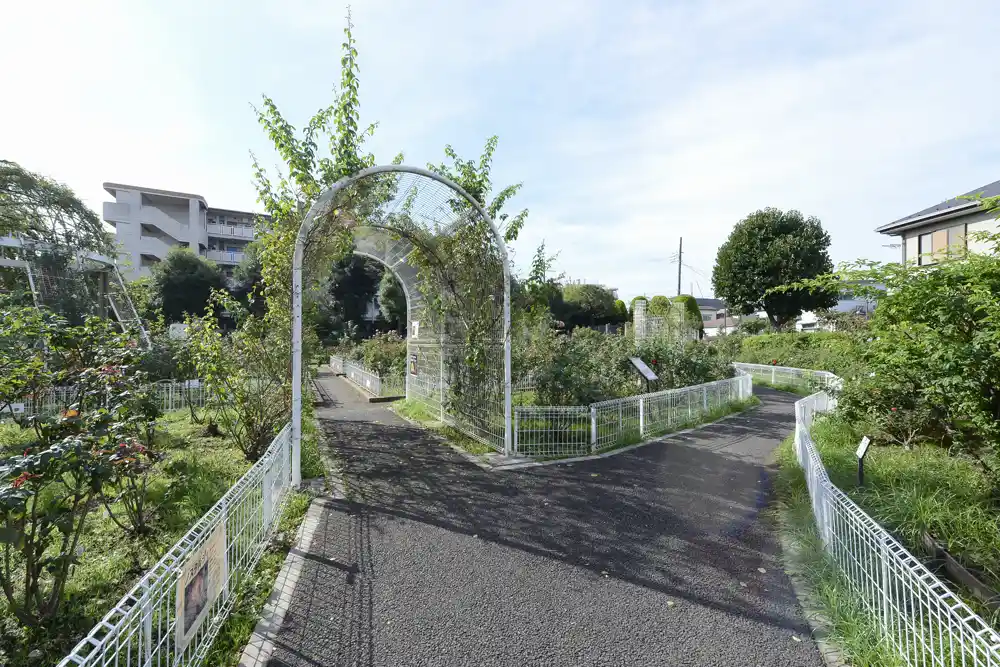 seiwabara-landscape-3 公園風景(青和ばら公園)