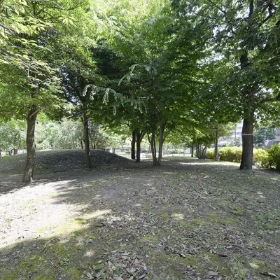 公園の緑地（関屋公園）