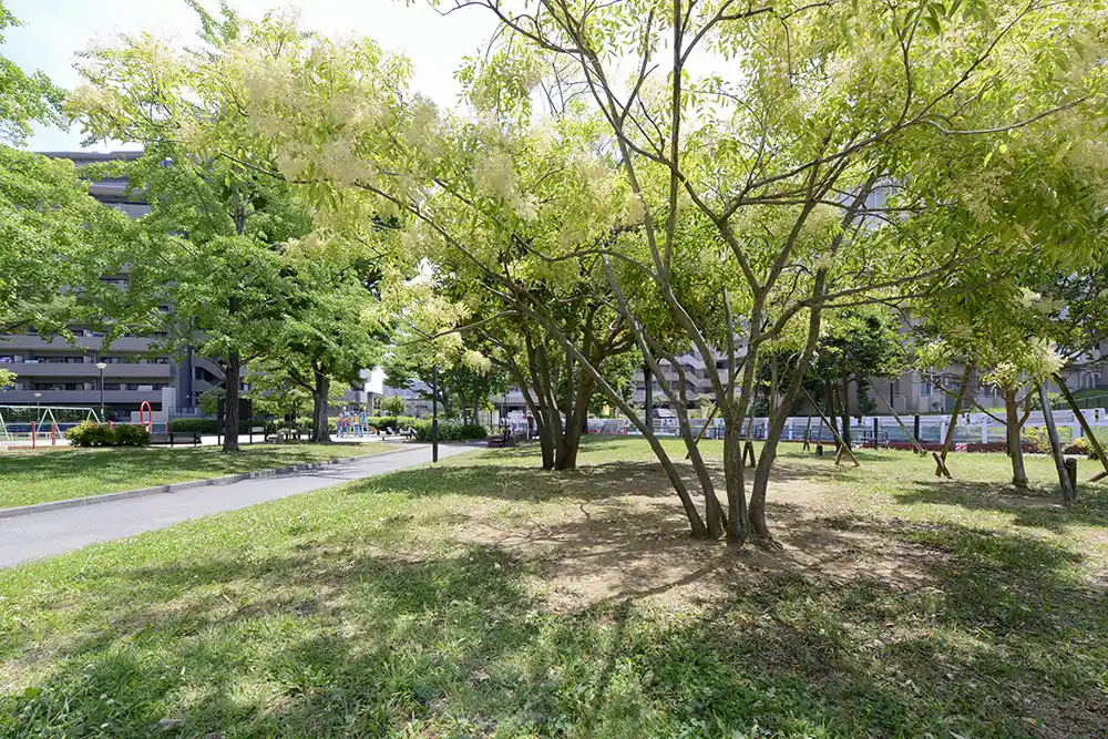 公園の緑地（関屋公園）