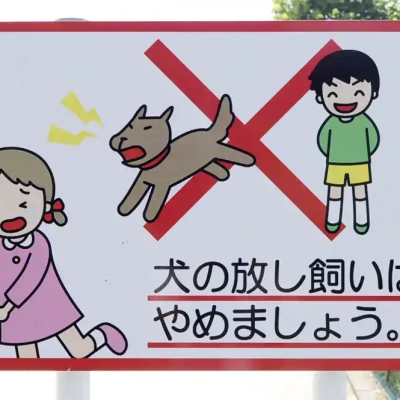 サッカー場の案内（千住スポーツ公案内