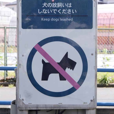 犬の放飼い禁止（島根公園）