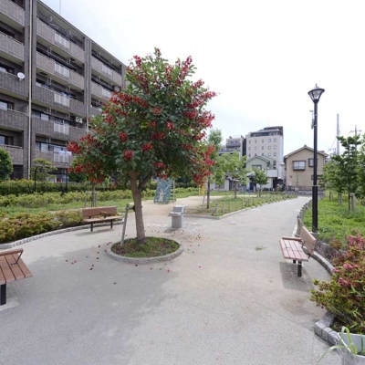 shimanem-landscape-3 公園風景(島根みどり公園)