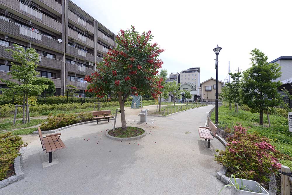 公園風景（島根みどり公園）