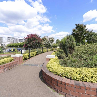 バラ花壇（新田さくら公園）