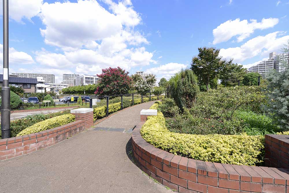shindensakura-landscape-10 バラ花壇(新田さくら公園)
