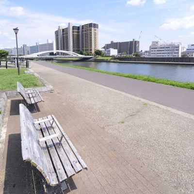 shindensakura-landscape-3 公園から隅田川を眺める(新田さくら公園)