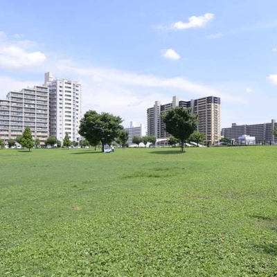 shindensakura-lawn-square-1 芝生広場(新田さくら公園)