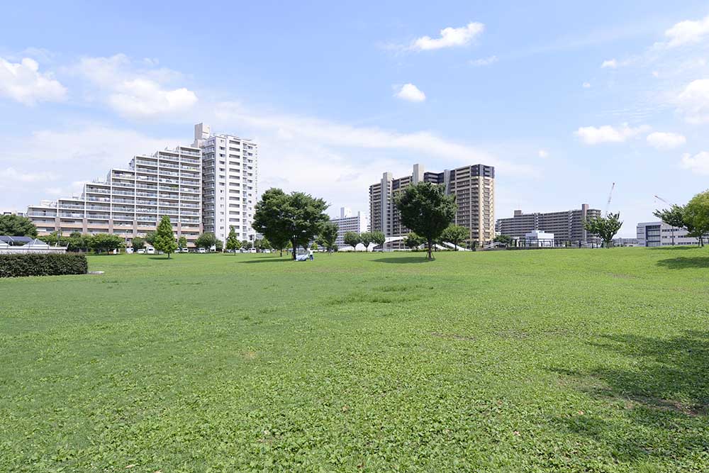 shindensakura-lawn-square-1 芝生広場(新田さくら公園)