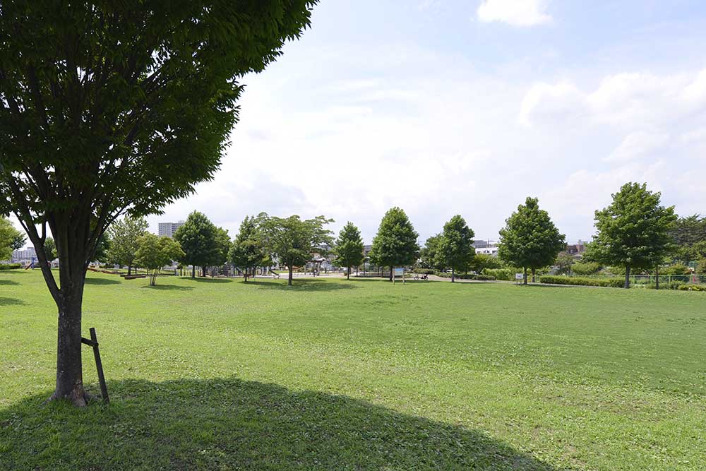 shindensakura-lawn-square-2 芝生広場(新田さくら公園)